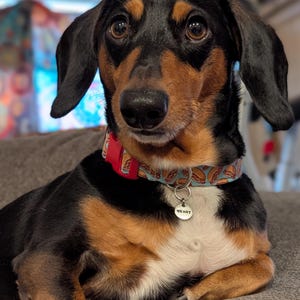 Sydney added a photo of their purchase