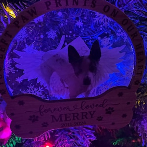 Rosemary added a photo of their purchase