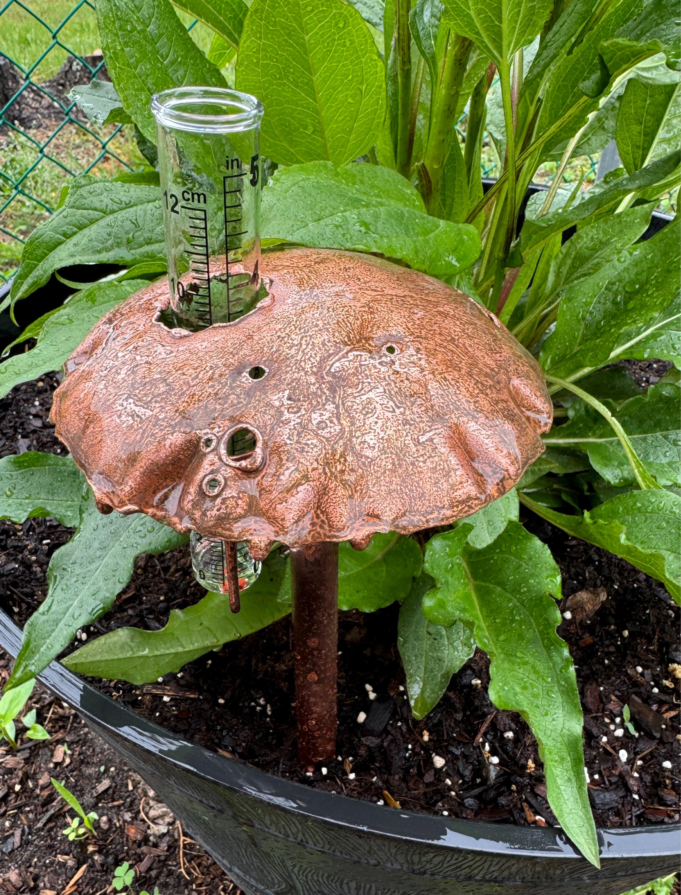 Copper Mushroom Rain Gauge