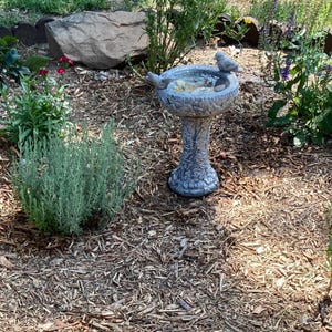 Carol added a photo of their purchase