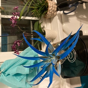 Gracia added a photo of their purchase