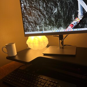 Henry added a photo of their purchase