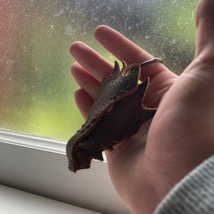 Austin lade till en bild av sitt köp