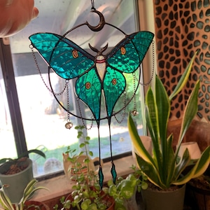 Donnell added a photo of their purchase