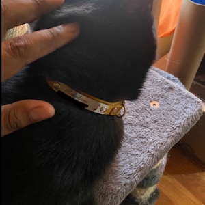 Petrona added a photo of their purchase