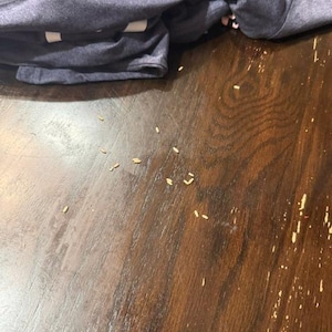 Lisa added a photo of their purchase