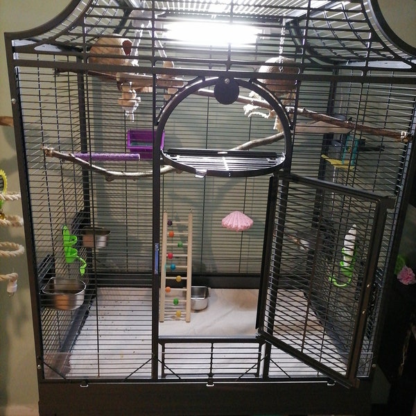 View of 5 X 90cm Natural Bird Perches – Untreated Branches for Budgies, Parrots ...