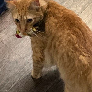 Etsy buyer added a photo of their purchase