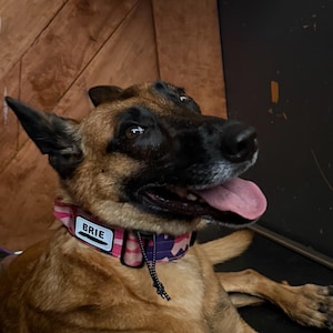 Taylor added a photo of their purchase