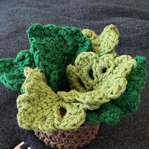 Sylvia added a photo of their purchase