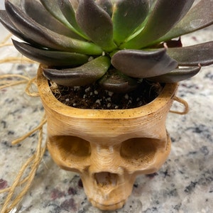Tessa added a photo of their purchase