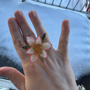 Lilli added a photo of their purchase