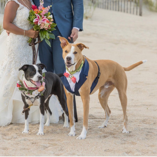 Modern Grey Dog Tuxedo Cape - Formal Wedding Vest Suit