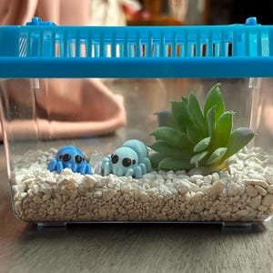 Dora added a photo of their purchase