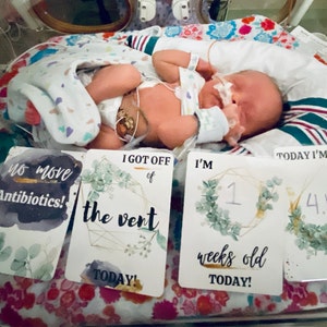 Kelly hat ein Foto des gekauften Artikels hinzugefügt