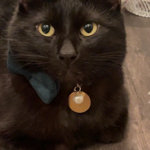 Madison hat ein Foto des gekauften Artikels hinzugefügt