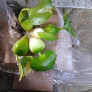 Christy added a photo of their purchase