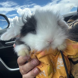 Janelle added a photo of their purchase