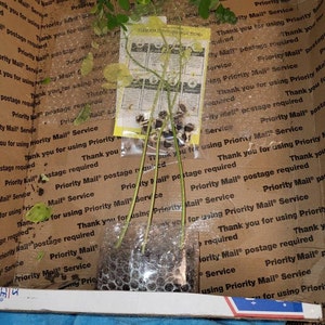Connie added a photo of their purchase