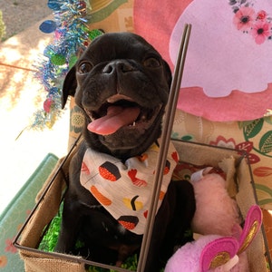 Cassandra added a photo of their purchase