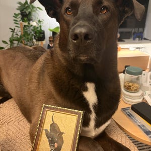 Kathleen a ajouté une photo de son achat