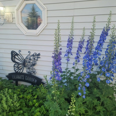 Birds Metal Wall Decor Set of 5, Metal Garden Decor, Minimal Birds Wall