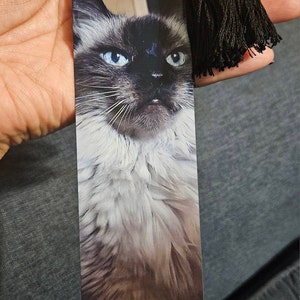 Evelyn added a photo of their purchase