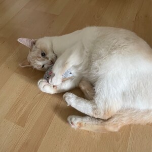 Pauline added a photo of their purchase