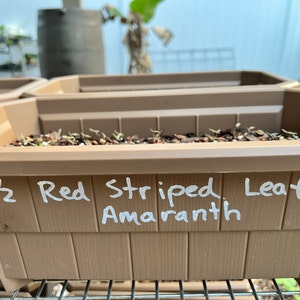 Mama added a photo of their purchase