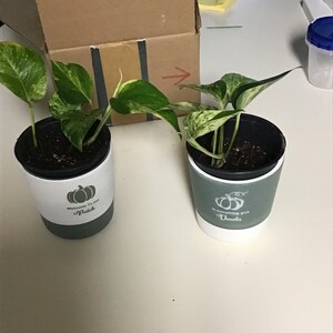 Nelva added a photo of their purchase
