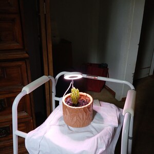 Phyllis added a photo of their purchase