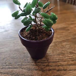 Etsy-koper heeft een foto van zijn/haar aankoop toegevoegd