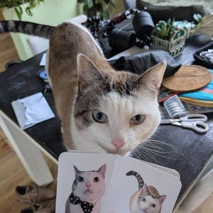 Lisa added a photo of their purchase