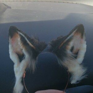 Cuenta inactiva ha añadido una foto de su compra