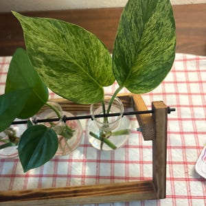 Breauna added a photo of their purchase