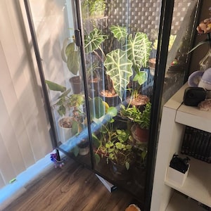 Abigail added a photo of their purchase