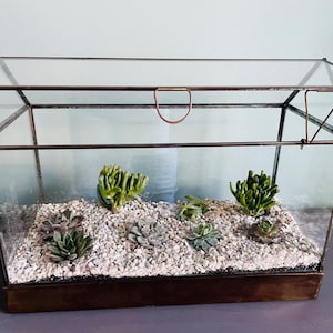 Paul added a photo of their purchase