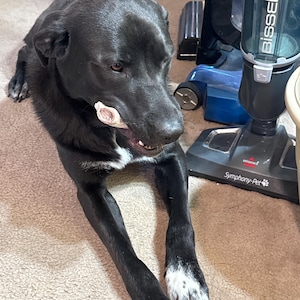 Sandra added a photo of their purchase