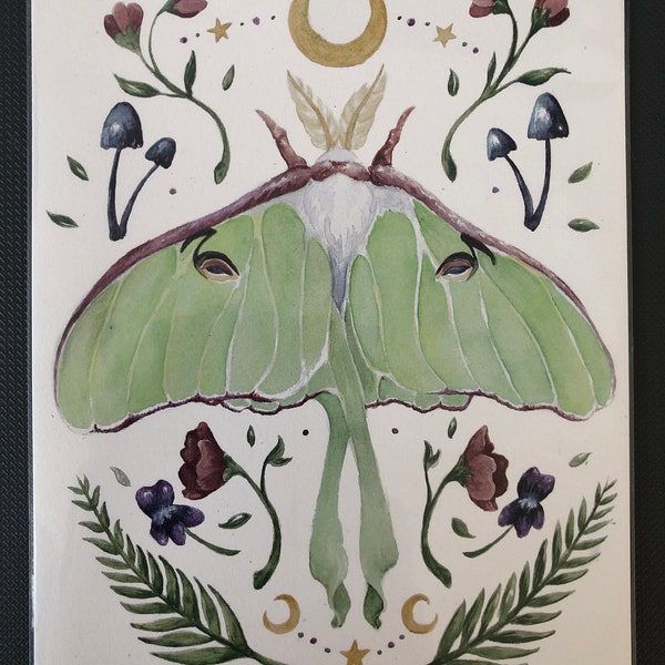 Luna Moth Botanical Watercolor Print - Etsy