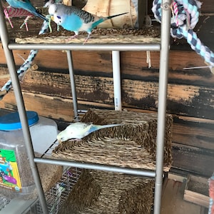 Ruth added a photo of their purchase