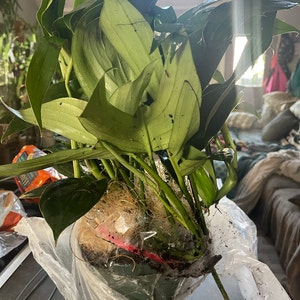 Gabrielle added a photo of their purchase