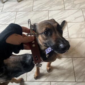 Wolf added a photo of their purchase