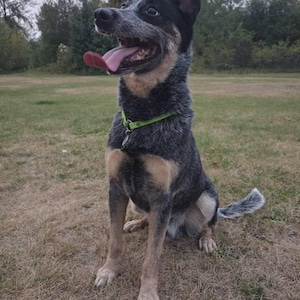Dixie added a photo of their purchase