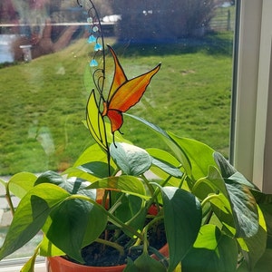 Laurie added a photo of their purchase