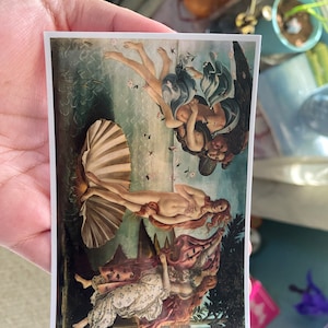 orchidgirl added a photo of their purchase