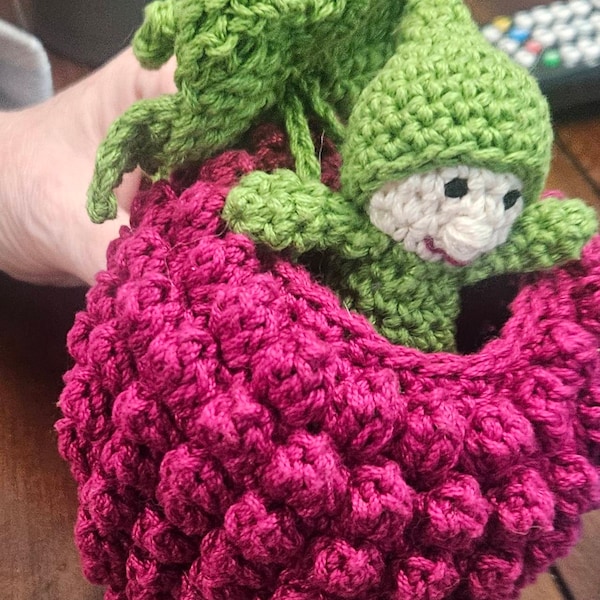 Raspberry Pocket Pal Crochet Pattern - Etsy