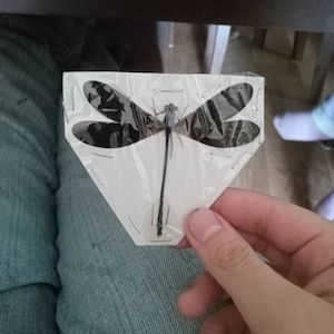 audrie ha añadido una foto de su compra