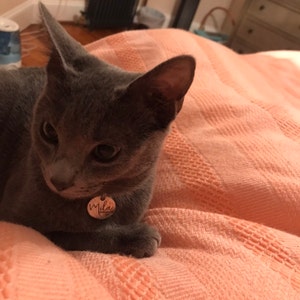 Etsy buyer added a photo of their purchase