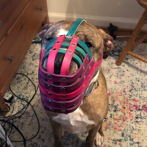 Leather Basket Dog Muzzle for Bite Risk Adjustable With - Etsy
