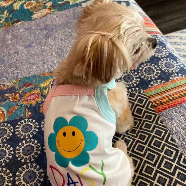 it-dogs DaisyTop Ｓ Smile Daisy Top, S-2XL, Dog Cotton Sleeveless, Dog-tee, Dog